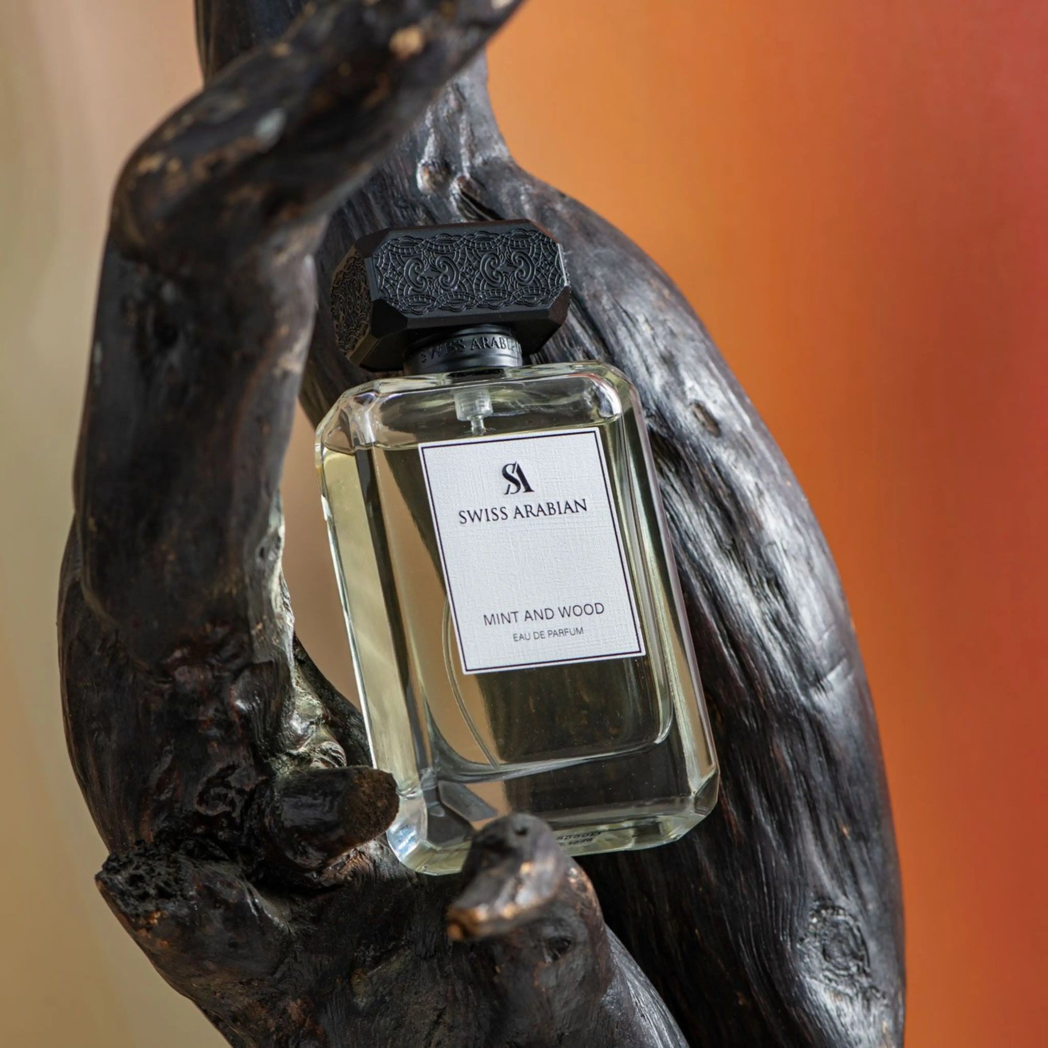 Mint and Wood Fragrance – Spicy Woody Eau de Parfum – Swiss